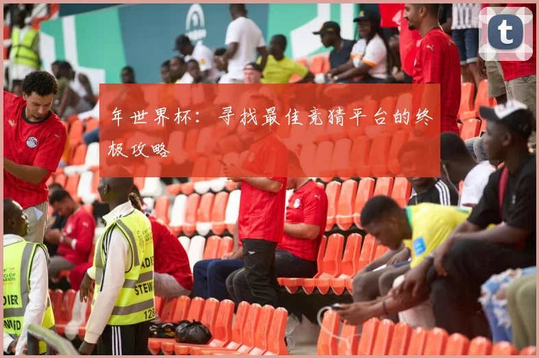 年世界杯：寻找最佳竞猜平台的终极攻略